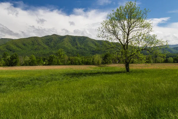 Cades Cove Nel Parco Nazionale Delle Great Smoky Mountains Tennessee — Foto Stock