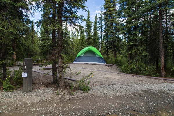 Camping Riley Creek Parque Nacional Denali Alaska — Foto de Stock