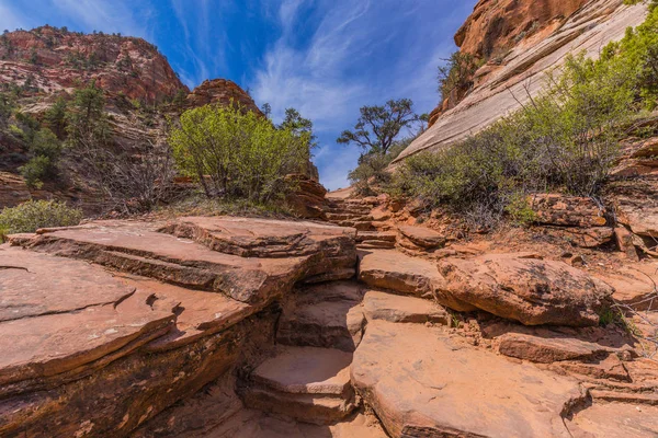 Canyon Overlook Trail Zion National Park Utah — Stock Photo, Image