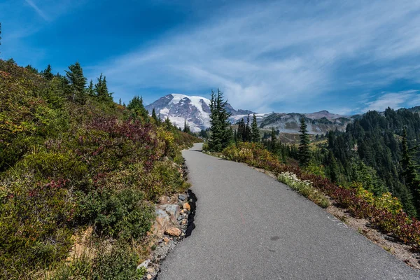 Paradise Trails Mount Rainier National Park Washington — Stock Photo, Image