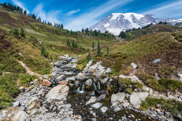 Paradise Trails Mount Rainier National Park Washington — Stock Photo, Image