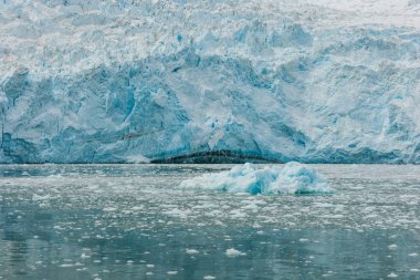 Aialik buzul Kenai Fjords Milli Parkı'nda Alaska