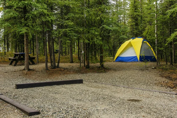 Riley Creek Campground Denali Nationalpark Alaska — Stockfoto