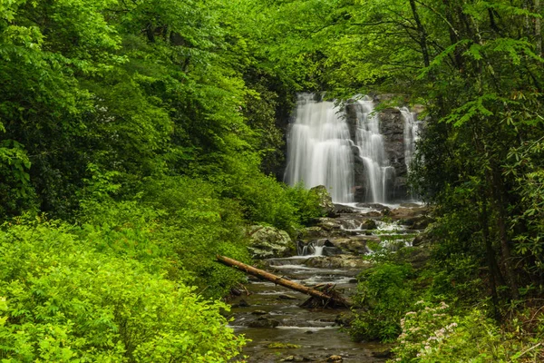 Meigs Fallen Großen Rauchigen Bergen Nationalpark Tennessee — Stockfoto