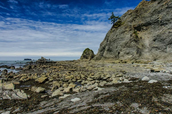 Rialto Beach Olympic National Park Washington Royalty Free Stock Photos