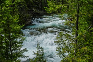 McDonald Falls buzul Milli Parkı Montana