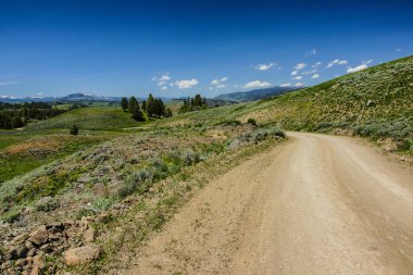 Blacktail Yaylası sürücü Yellowstone Milli Parkı'nda Wyoming