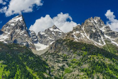 Teton buzul katılım Grand Teton Milli Parkı'nda Wyoming