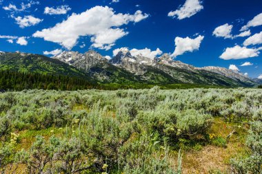 Rüzgarlı noktası katılım Grand Teton Milli Parkı'nda Wyoming