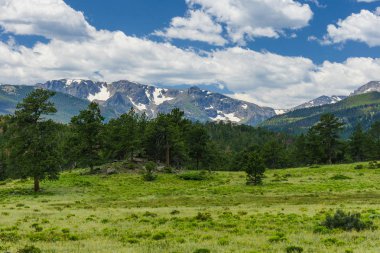 Üst kunduz Meadows Rocky Dağı Milli Parkı'nda Colorado