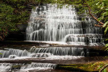 Pisgah Ulusal Ormanı Kuzey Carolina'da grogans Creek Falls'ta