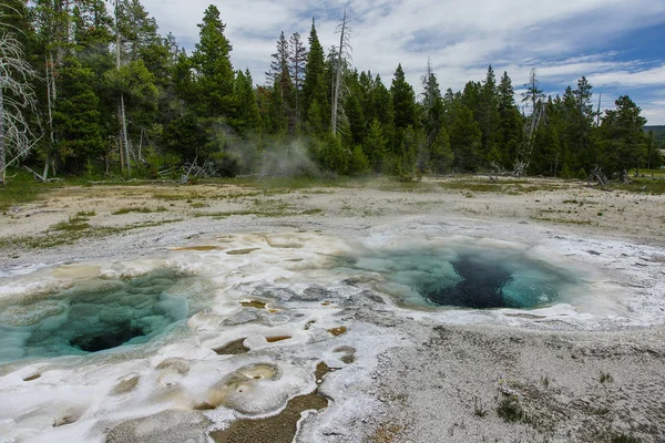 Geiser Espasmódico Parque Nacional Yellowstone Wyoming —  Fotos de Stock