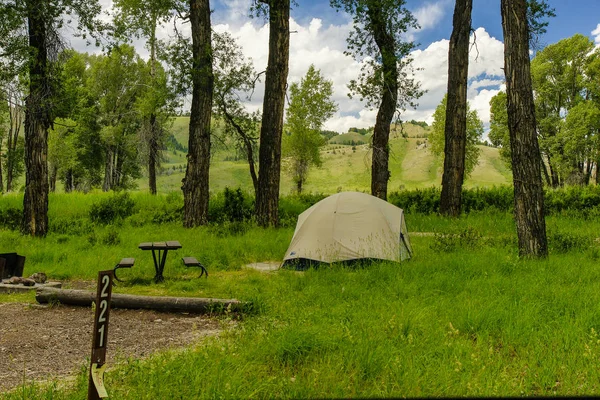 Gros Ventre Campground Grand Teton National Park Wyoming — Stockfoto