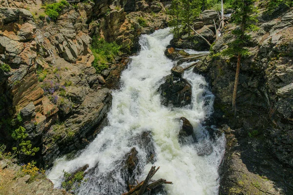 Adams Falls Dans Parc National Des Montagnes Rocheuses Dans Colorado — Photo