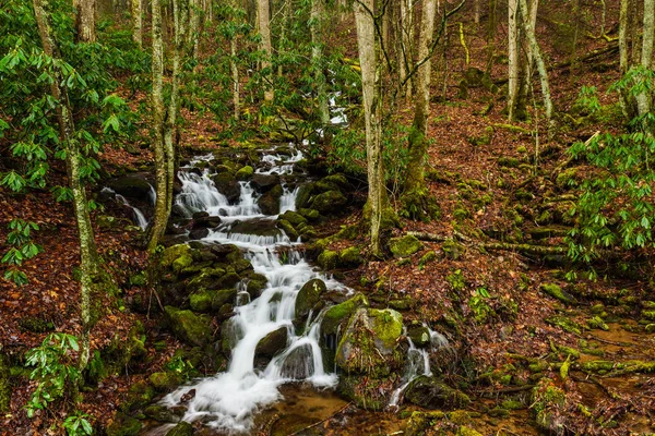 Náhodné Kaskád Nově Nalezenou Mezeru Silnici Národním Parku Great Smoky — Stock fotografie