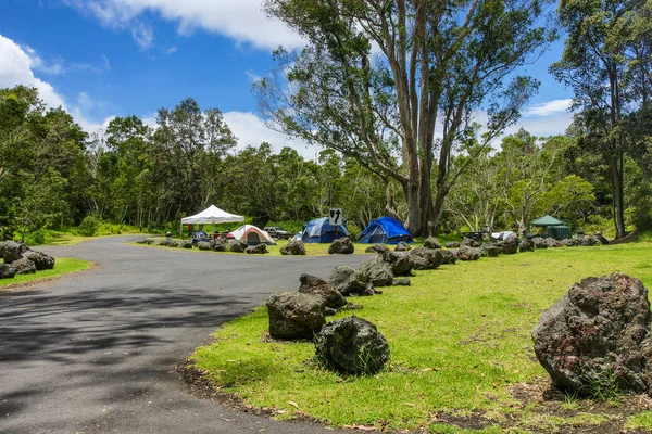 Namakani Paio Campground Hawaii Volcanoes National Park Hawaii Royalty Free Stock Images