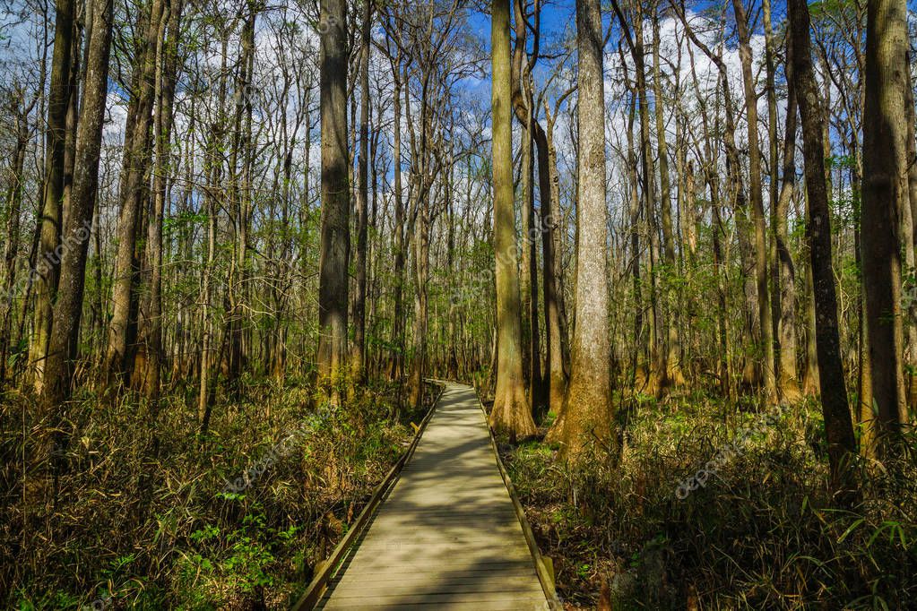 South Congaree