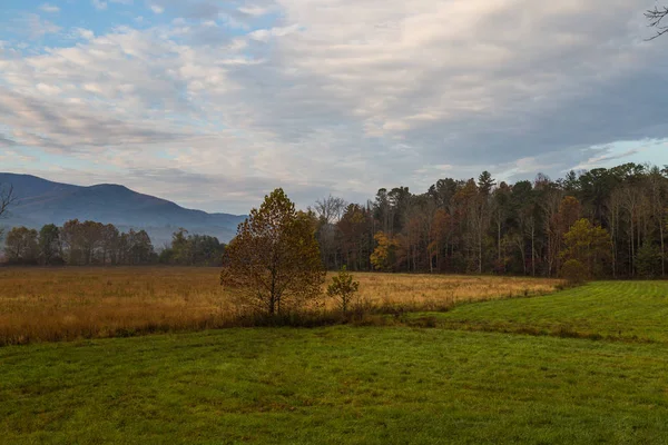Cades Cove Dans Parc National Des Great Smoky Mountains Tennessee — Photo