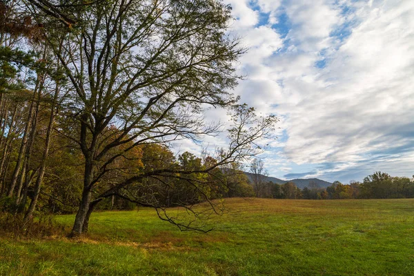 Cades Cove Parque Nacional Great Smoky Mountains Tennessee —  Fotos de Stock