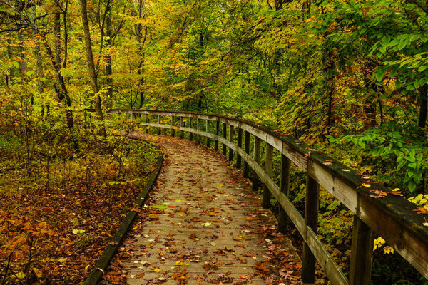 Sand Cave Trail in Mammoth Cave National Park in Kentucky