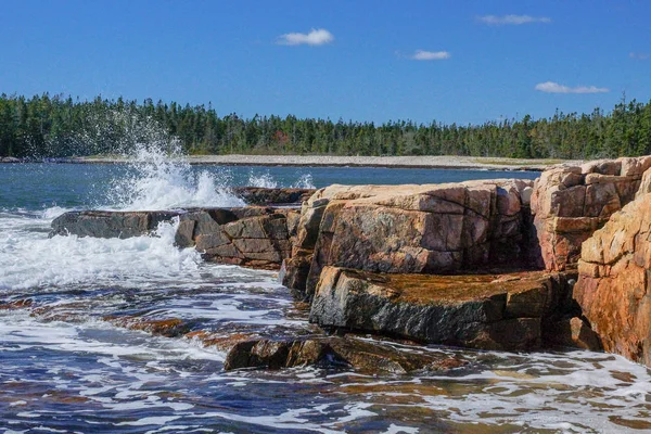 Wonderland Trail Acadia National Park Maine Stock Picture