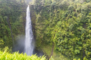 Akaka Falls State Park Hawaii, Amerika Birleşik Devletleri