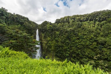 Akaka Falls State Park Hawaii, Amerika Birleşik Devletleri