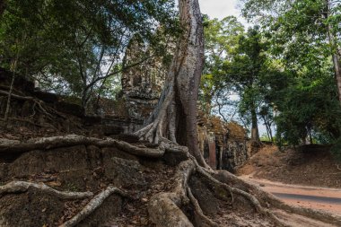 Angkor Thom in Angkor Archaeological Park içinde Kamboçya, Amerika Birleşik Devletleri