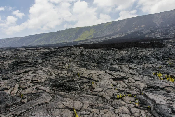 Alanui Kahiko i Hawaii vulkaner nationalpark i Hawaii, Förenta staterna — Stockfoto