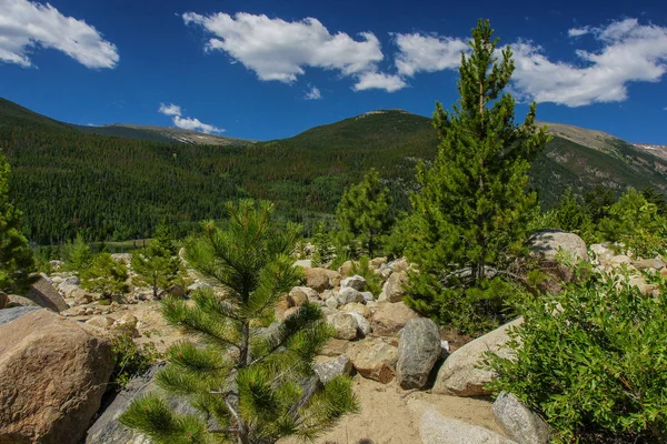 Área aluvial do fã no parque nacional da montanha rochosa em Colorado, Estados Unidos — Fotografia de Stock