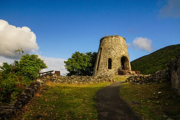 Annaberg Aziz John adasında Virgin Adaları Milli Parkı 'nda yürüyüş Trail, Amerika Birleşik Devletleri