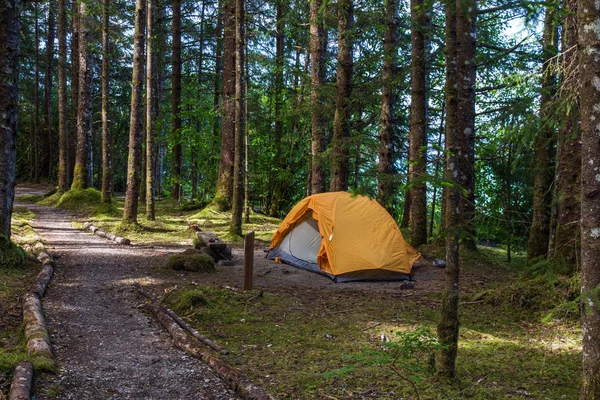 Bartlett cove campingplatz im glacier bay nationalpark in alaska, vereinigte staaten — Stockfoto