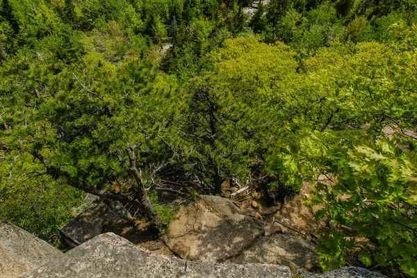 Beehive Trail in Acadia National Park in Maine, United States — Stock Photo, Image