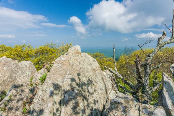 Bearfence Mountain in Shenandoah National Park in Virginia, United States Royalty Free Stock Photos