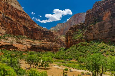 Büyük Bend in Zion Milli Parkı Utah, Amerika Birleşik Devletleri