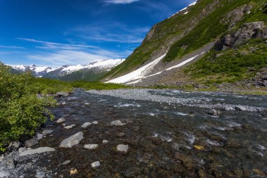 Alaska, Amerika Birleşik Devletleri 'nde Chugach Ulusal Ormanı 'nda Byron Glacier Trail
