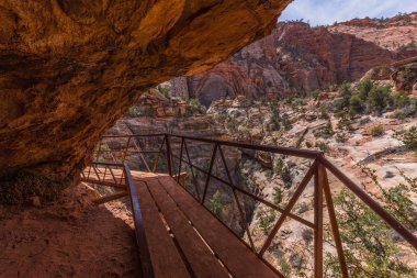Kanyon, Utah, Amerika Birleşik Devletleri 'nde Zion Milli Parkı 'nda Trail Overlook