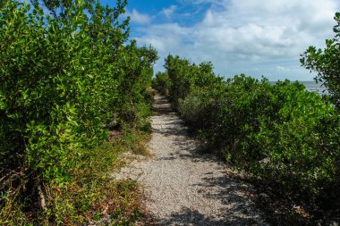 Florida, Amerika Birleşik Devletleri Biscayne Milli Parkı 'nda konvoy Point Trail