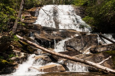 Cove Creek Falls, Amerika Birleşik Devletleri Kuzey Carolina 'da SİGAH Ulusal Orman