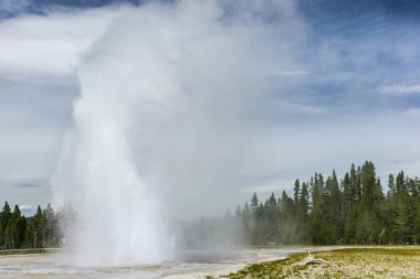 Wyoming, Amerika Birleşik Devletleri Yellowstone National Park içinde Daisy Geyser