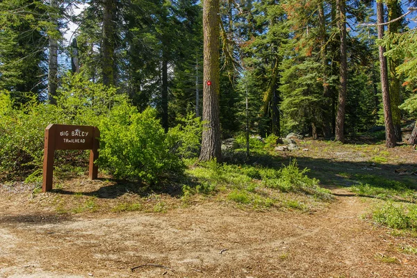 Stora Baldy Trailhead i Sequoia National Forest i Kalifornien, Förenta staterna — Stockfoto