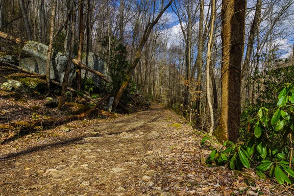 Big Creek Trail nagy Smoky Mountains nemzeti parkban Észak-Karolinában, Egyesült Államok — Stock Fotó