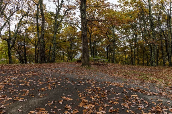 Big Meadows Camping i Shenandoah National Park i Virginia, USA — Stockfoto