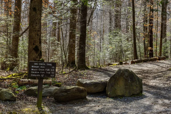 Big Creek Trail em Great Smoky Mountains National Park na Carolina do Norte, Estados Unidos — Fotografia de Stock