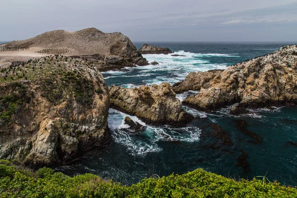 Bird Island Área en Point Lobos State Reserve en California, Estados Unidos — Foto de Stock