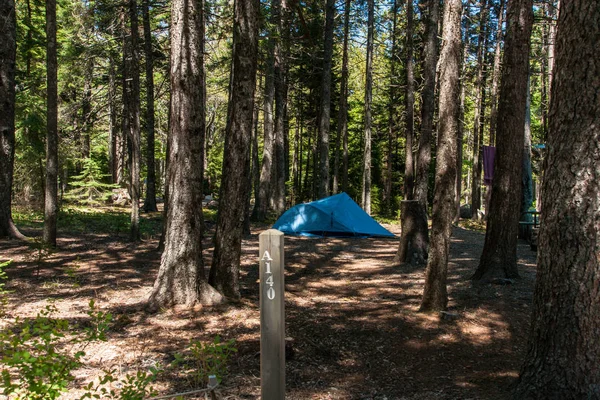 アメリカ合衆国メーン州のアカディア国立公園のブラックウッズ・キャンプ場 — ストック写真