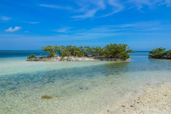 Boca Chita Key en el Parque Nacional Vizcaya en Florida, Estados Unidos —  Fotos de Stock