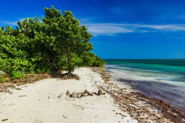 Boca Chita Key Biscayne Ulusal Parkı, Florida, Amerika Birleşik Devletleri