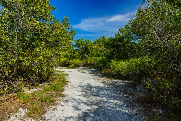 Boca Chita Key Trail i Biscayne National Park i Florida, Förenta staterna — Stockfoto