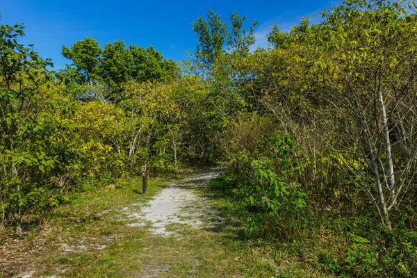 Boca Chita Key Trail no Parque Nacional da Biscaia, na Flórida, Estados Unidos — Fotografia de Stock